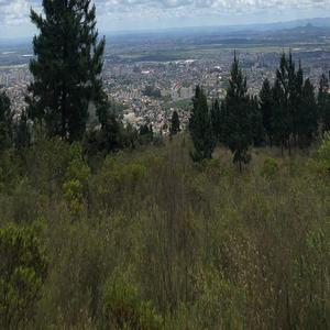 猛男互插小鲜肉
